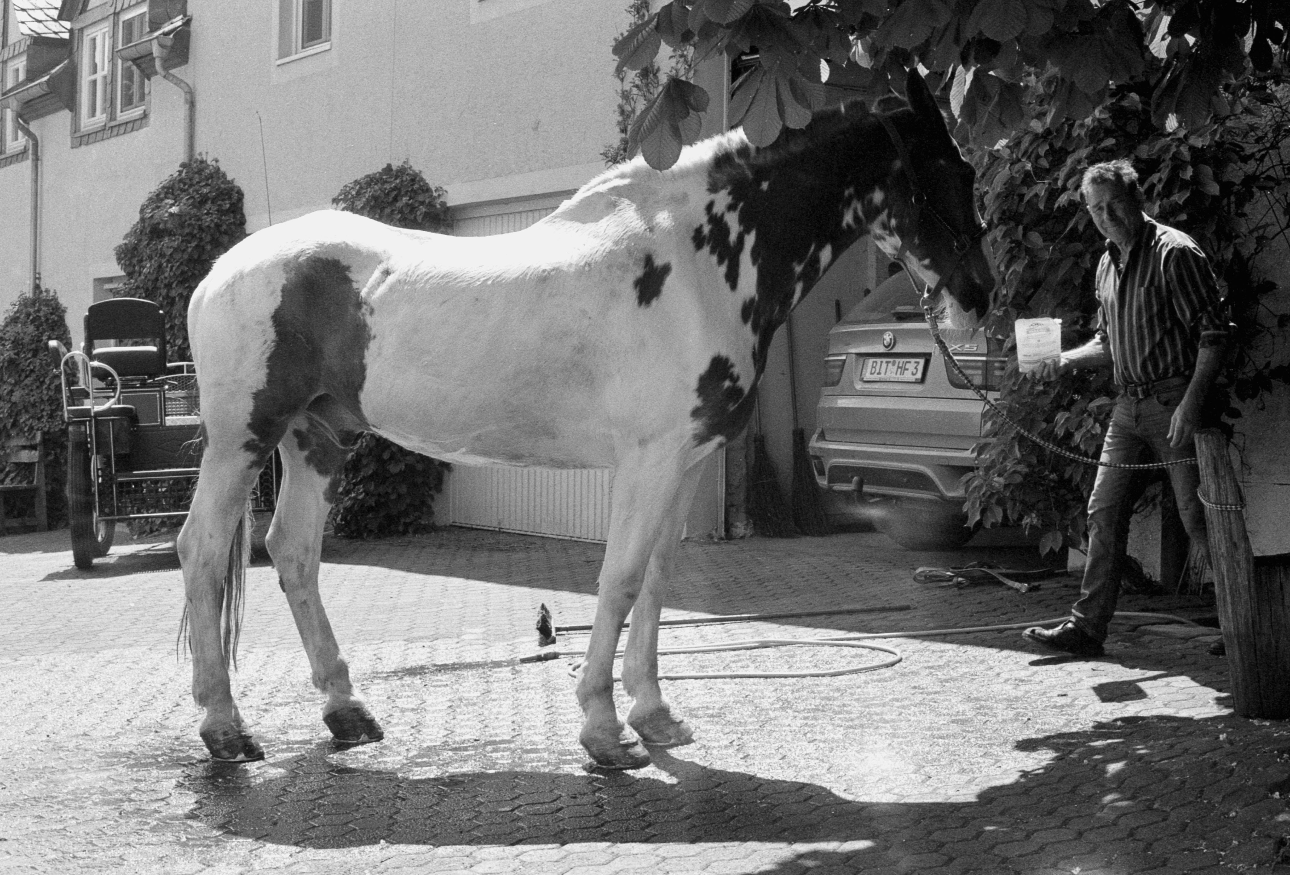 Simon_Van_Steenis Image 5