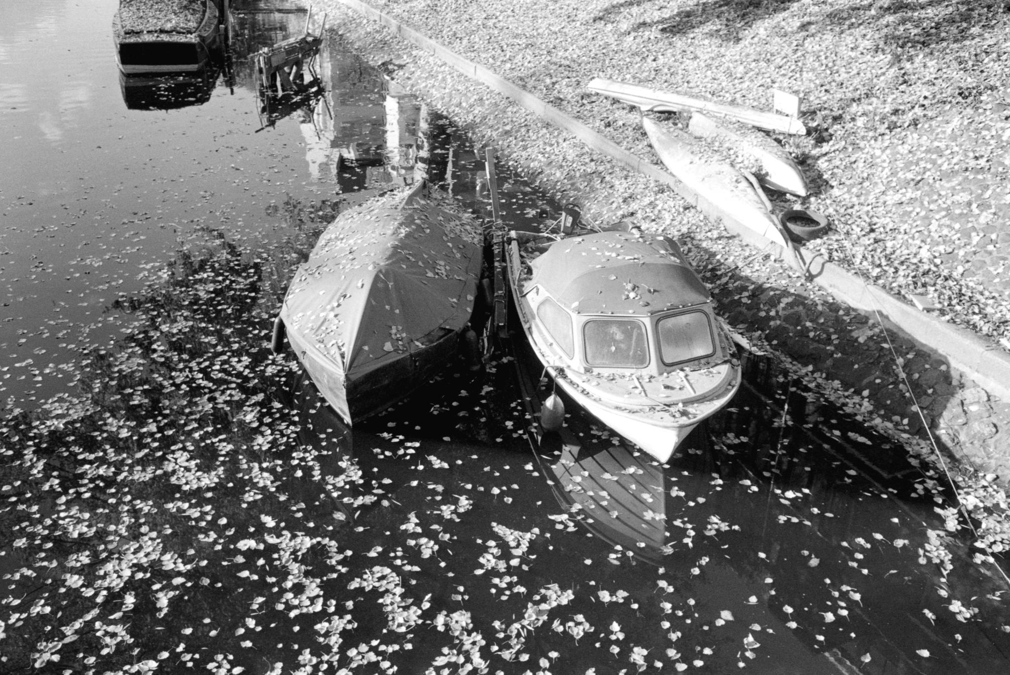 Simon_Van_Steenis Image 1